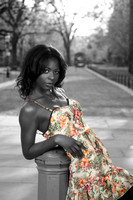 Fashion 33